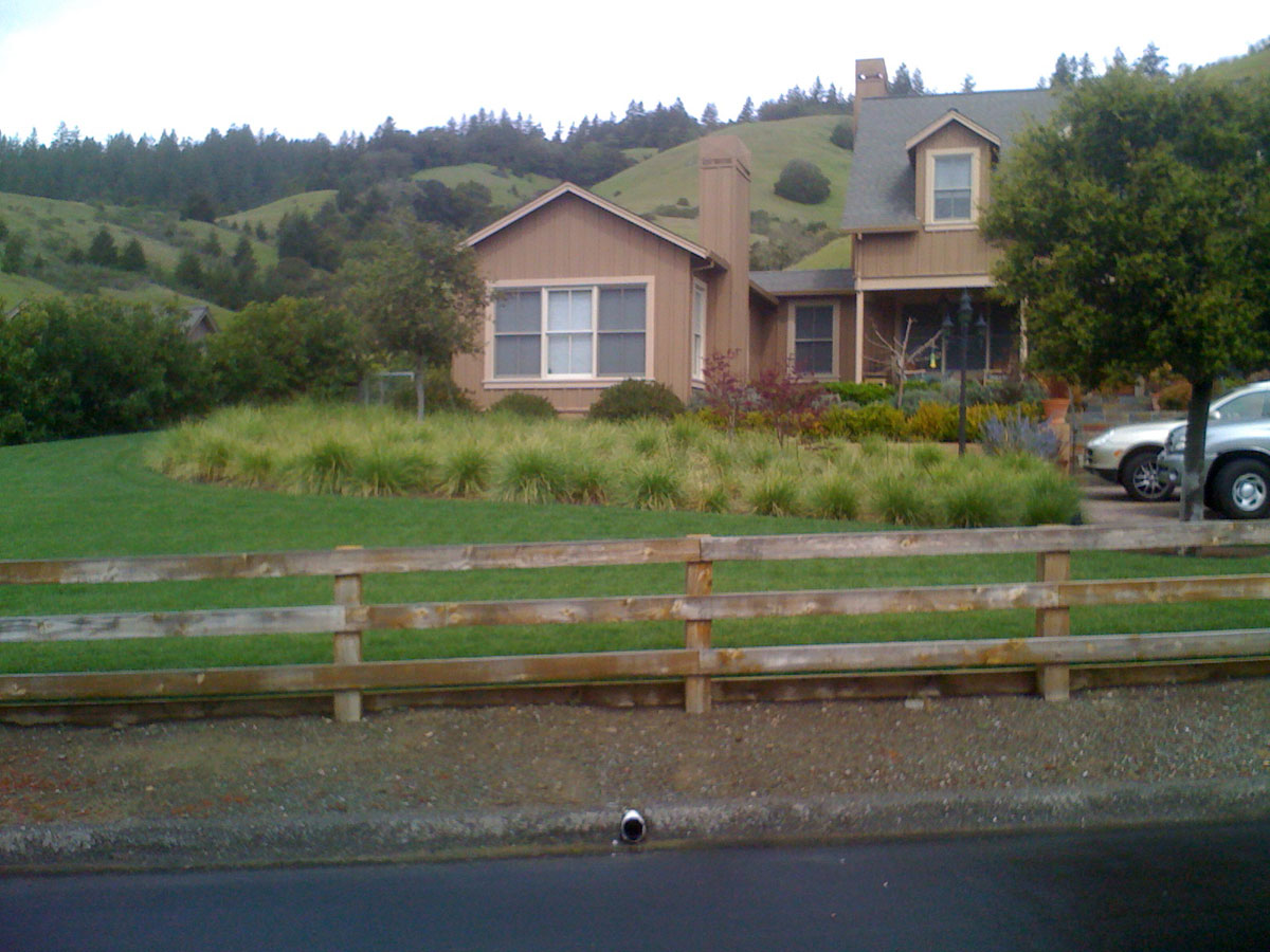 Residential Landscape